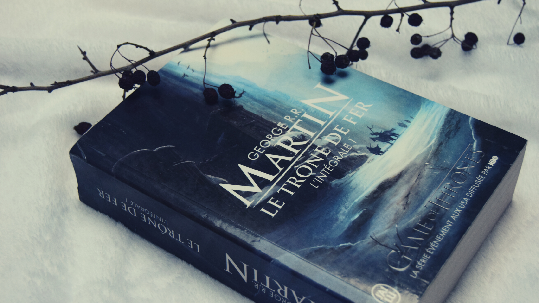 Le Trône de Fer, Intégrale 1, G.R.R. Martin