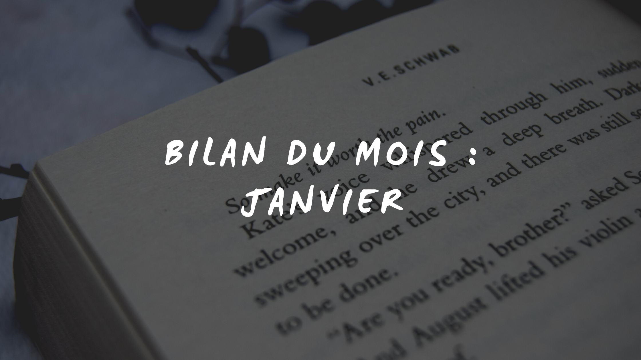 Bilan du mois : Janvier