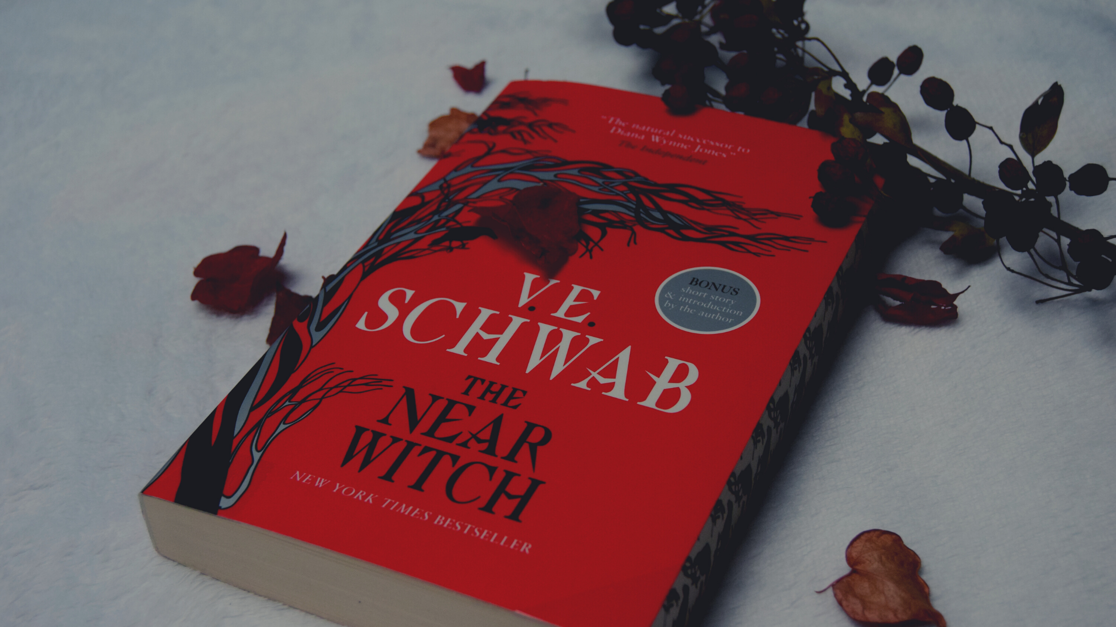 The Near Witch, V.E. Schwab