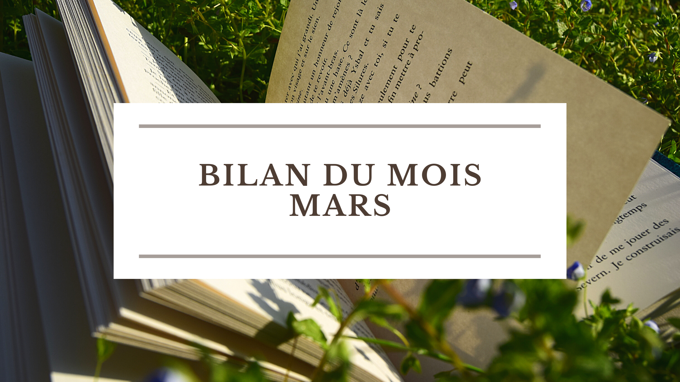 Bilan du mois : Mars